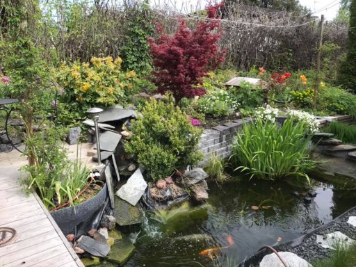 Dammskötsel Frodig trädgård med blommor, damm och gröna växter, samt en liten fontän.