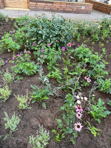 Plantering Blomsterbädd med färgglada blommor och grönskande växter.