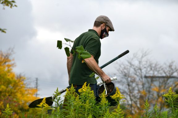 Trädgårdsskötsel Man in green shirt and cap carrying gardening tools among plants.